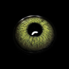 Lentillas Graduadas De Color Verde Thetis