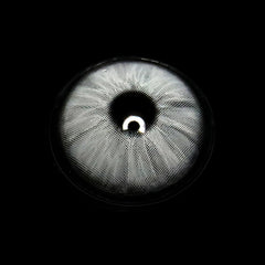 Lentillas Graduadas De Color Gris Trébol
