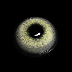 Lentes De Contacto Graduadas De Color Gris Ailsa