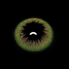 Auriga Green Colored Contact Lenses
