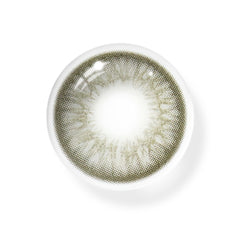 Talitha Gray Colored Contact Lenses