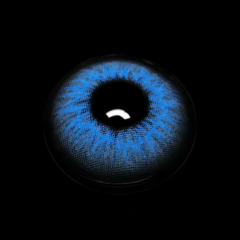 Talitha Blue Colored Contact Lenses
