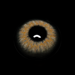 Talitha Brown Colored Contact Lenses