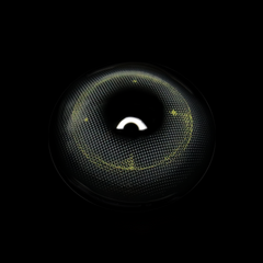 Shaula Gray Prescription Colored Contact Lenses