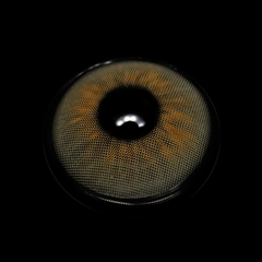 Cassia Gray Colored Contact Lenses