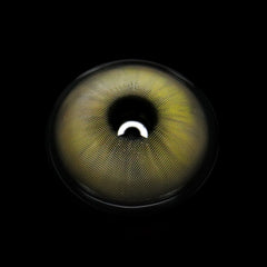 Vlinder Brown Colored Contact Lenses