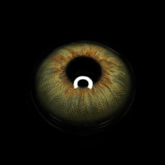 Ludmila Brown Colored Contact Lenses