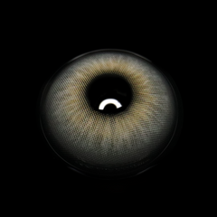 Lilian Gray Colored Contact Lenses