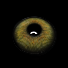 Flavia Green Colored Contact Lenses
