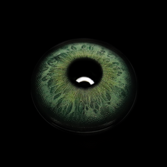 Kelly Green Colored Contact Lenses