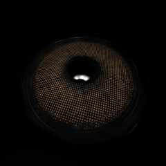 Marcela Dark Brown Colored Contact Lenses