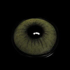 Hidrocor Mint Green Daily (10 Pcs) Colored Contact Lenses