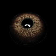 Svetlana Brown Colored Contact Lenses