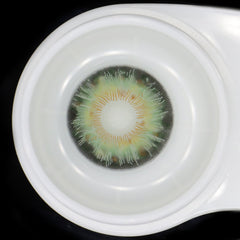 Farbige Renaissance-Kontaktlinsen in Marquise-Grün