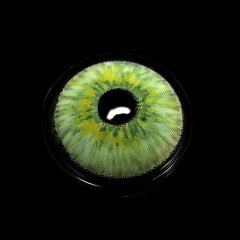 Farbige Kontaktlinsen in New York-Grün