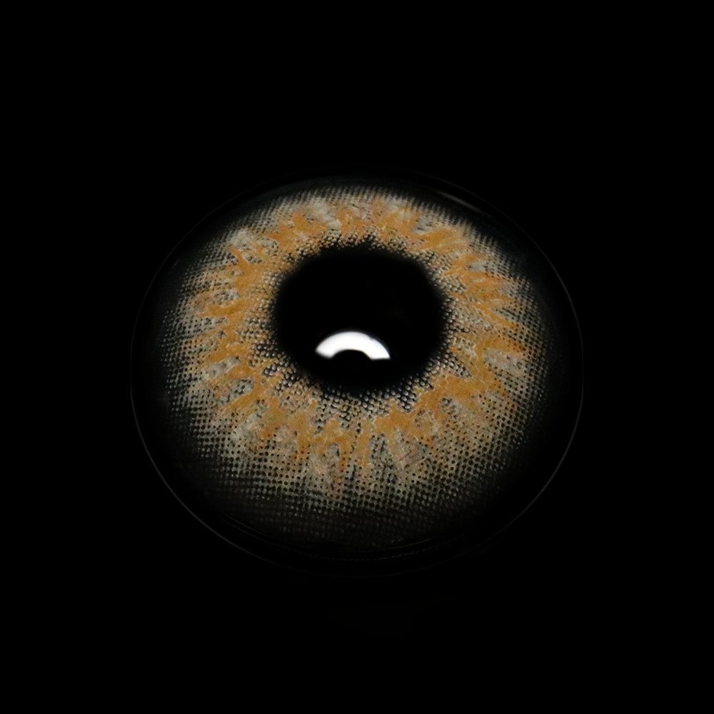 Talitha Brown Colored Contact Lenses