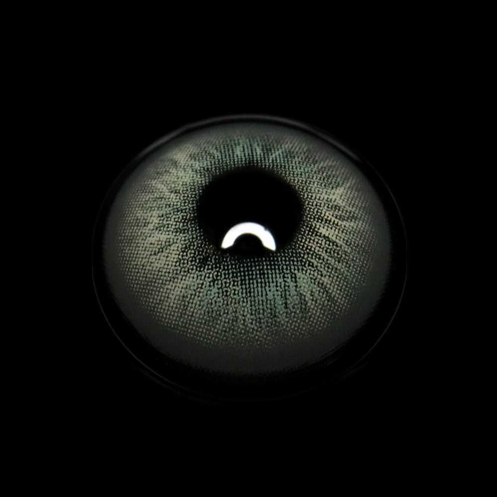 Renata Gray Colored Contact Lenses