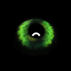 Cosplay Spider Web Green Colored Contact Lenses