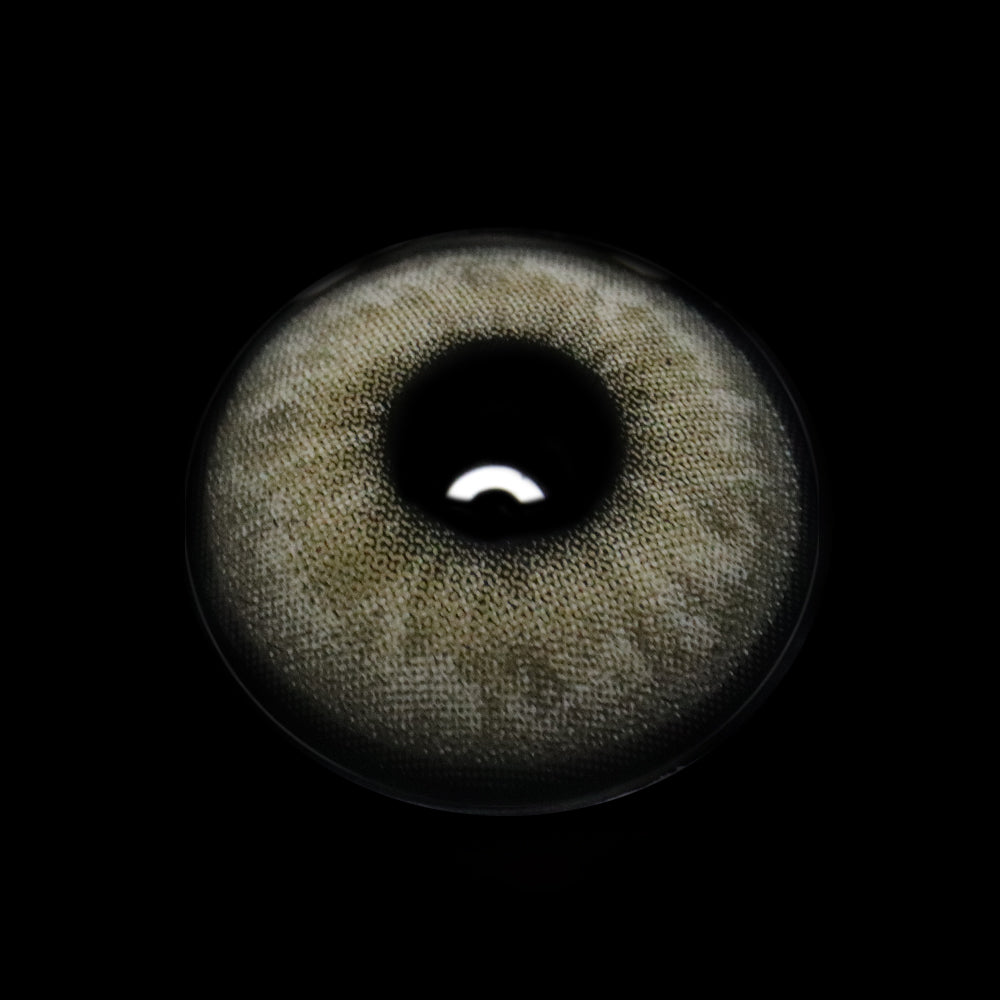 Asteria Gray Colored Contact Lenses