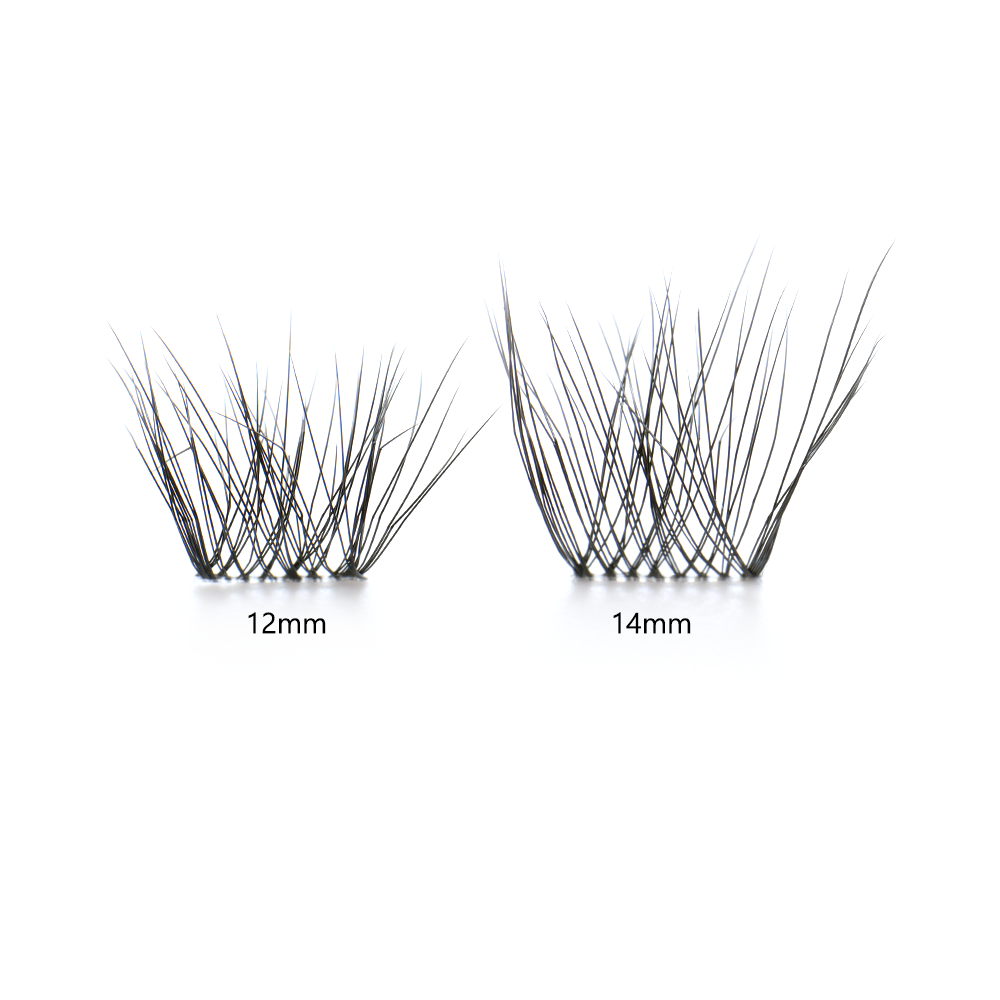 Lara Black Lashes
