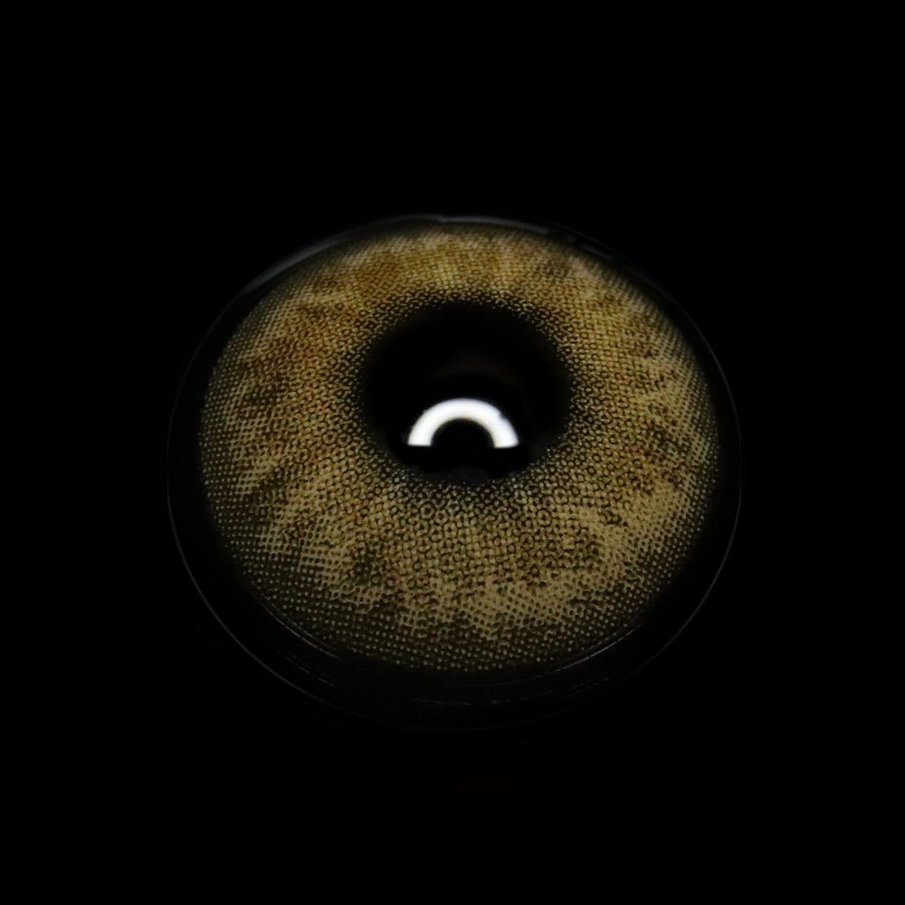 Asteria Brown Colored Contact Lenses