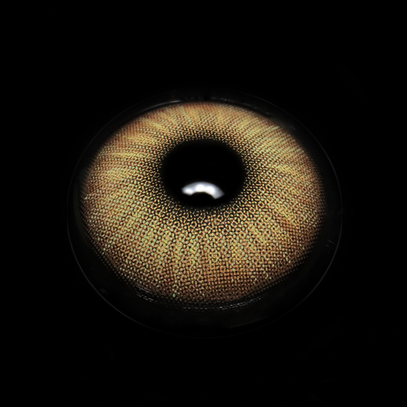 Beatriz Brown Colored Contact Lenses
