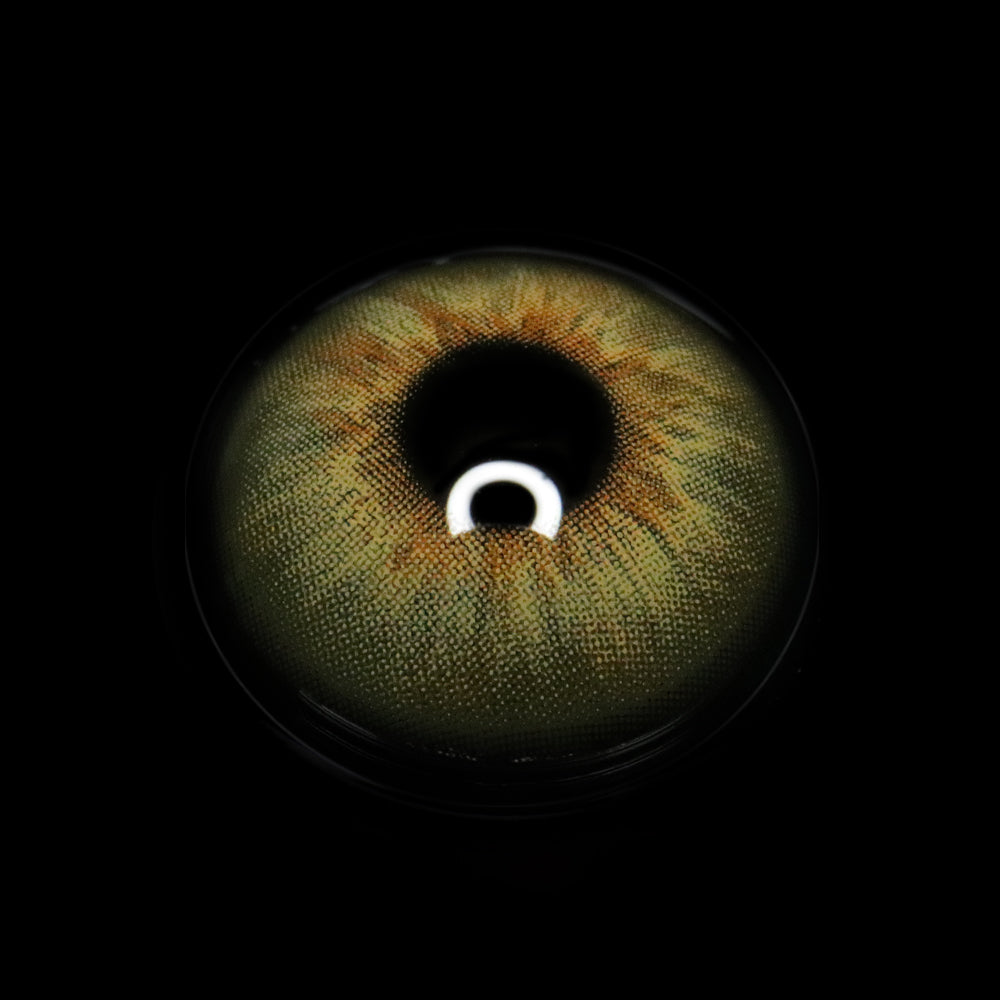 Ludmila Brown Colored Contact Lenses