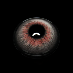 Andreia Gray Colored Contact Lenses