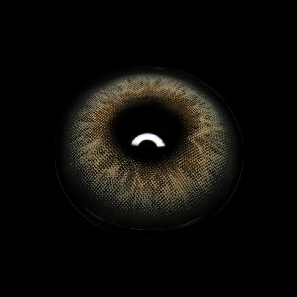 Bibiana Gray Colored Contact Lenses