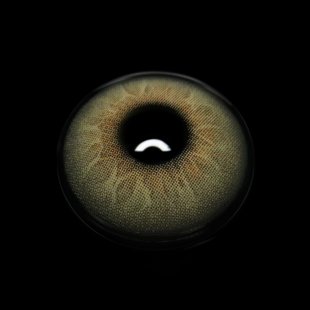 Alvar Brown Colored Contact Lenses