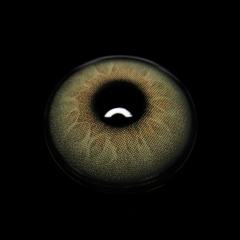 Alvar Brown Colored Contact Lenses