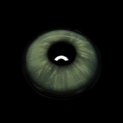 Marin Green Colored Contact Lenses