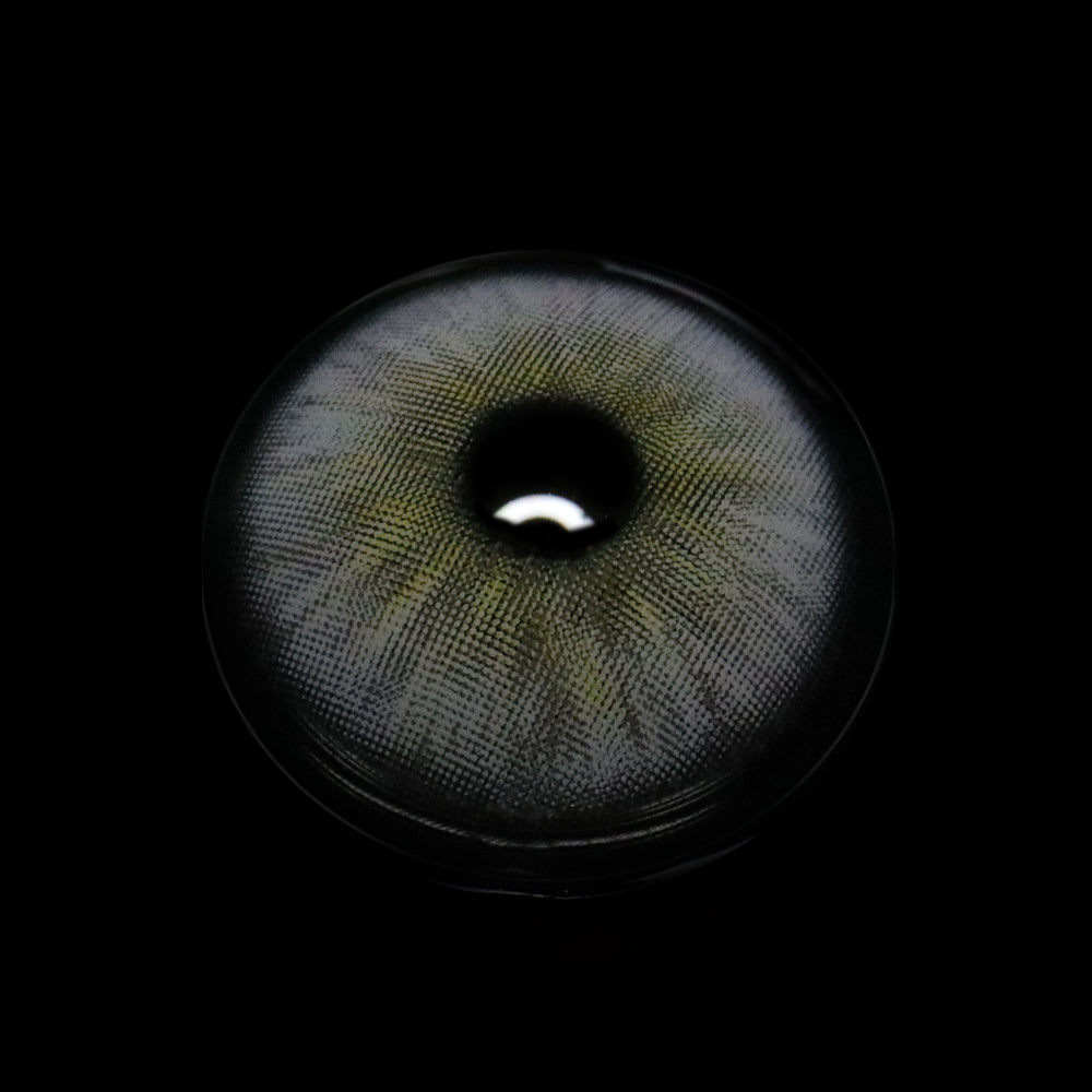 Karla Ash Gray Colored Contact Lenses