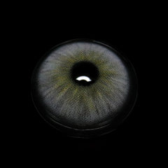 Karla Ash Gray Colored Contact Lenses