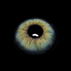 Anita Green Colored Contact Lenses