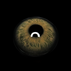 Kelly Brown Colored Contact Lenses