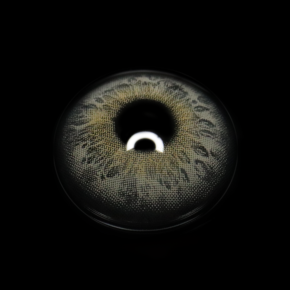 Kelly Gray Colored Contact Lenses
