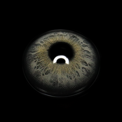 Kelly Gray Colored Contact Lenses