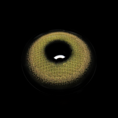 Charlotte Brown Colored Contact Lenses