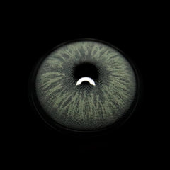 Cyrene Frost Gray Colored Contact Lenses