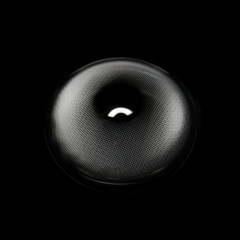 Yara Madien Gray Colored Contact Lenses