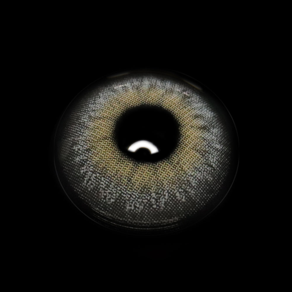 Morena Gray Colored Contact Lenses