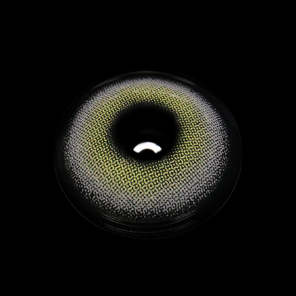 Charlotte Gray Colored Contact Lenses