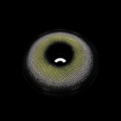 Charlotte Gray Colored Contact Lenses
