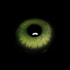 Yaqoot Green Colored Contact Lenses
