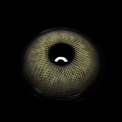 Celia Brown Colored Contact Lenses