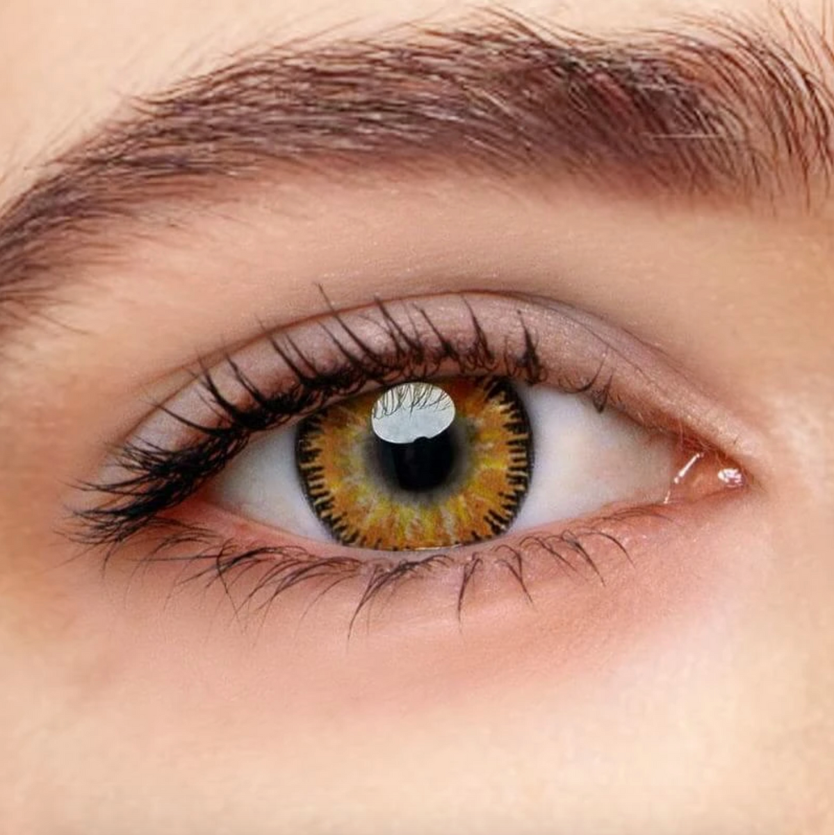 Farbige Kontaktlinsen mit Sehstärke Vega Brown